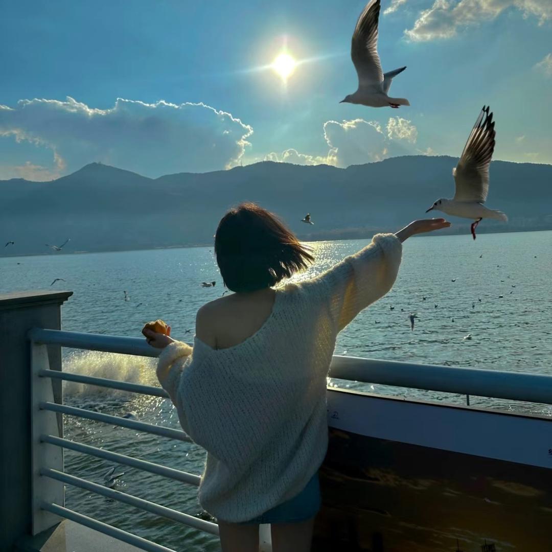 🍀阳阳@🍷