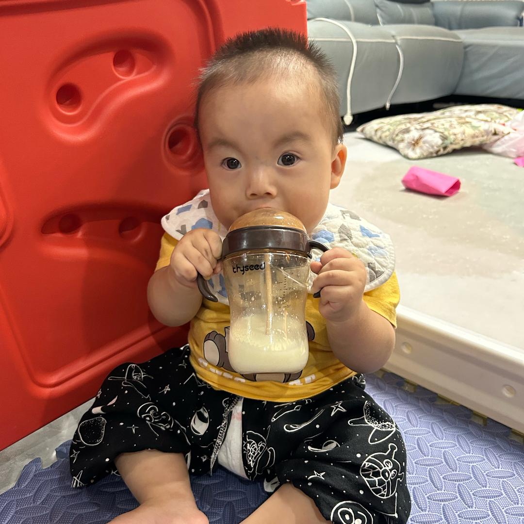 健康快乐的朱小宝