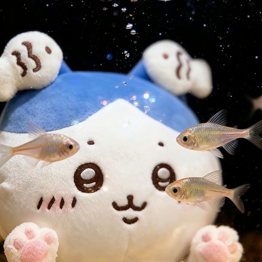 开心就好🤡