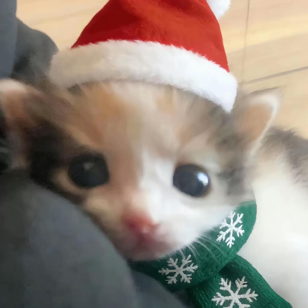 因为吃饭太慢被勇者队伍开除