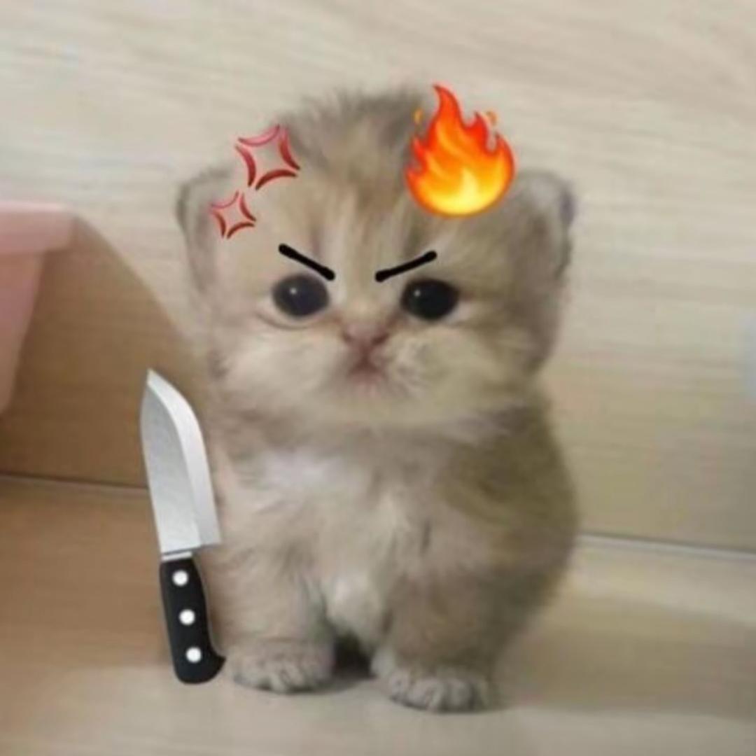 笠子