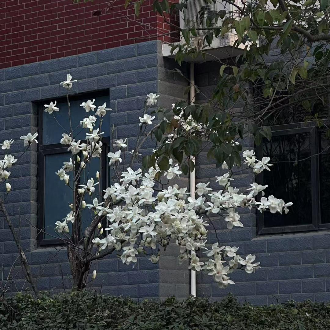 爱萝卜便民打印(恒大名都顺丰驿站)官方号