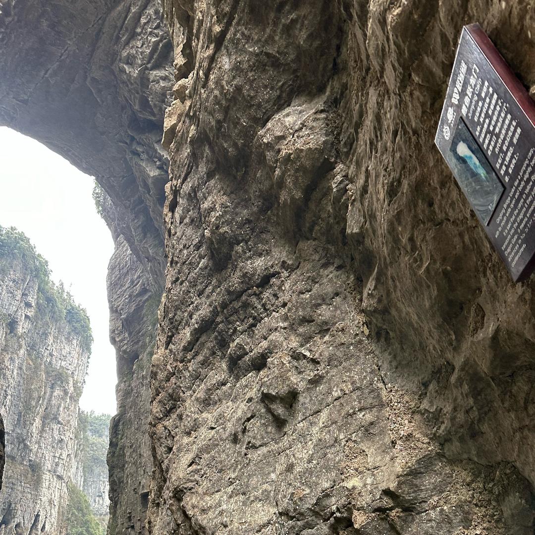 开心