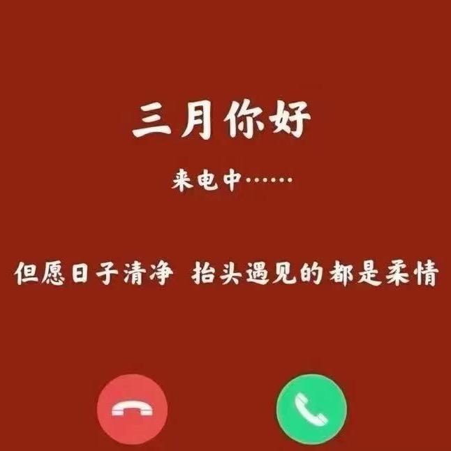 我给的你要不起