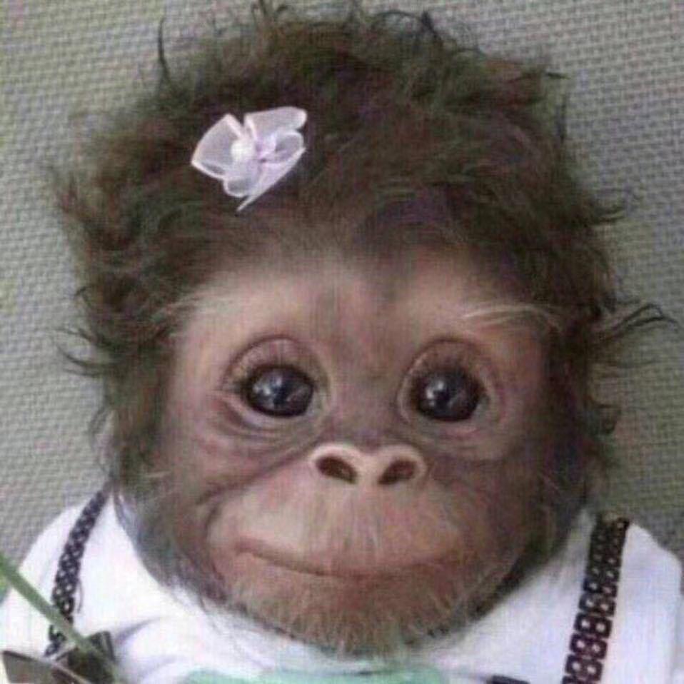 富昕工具百货铺