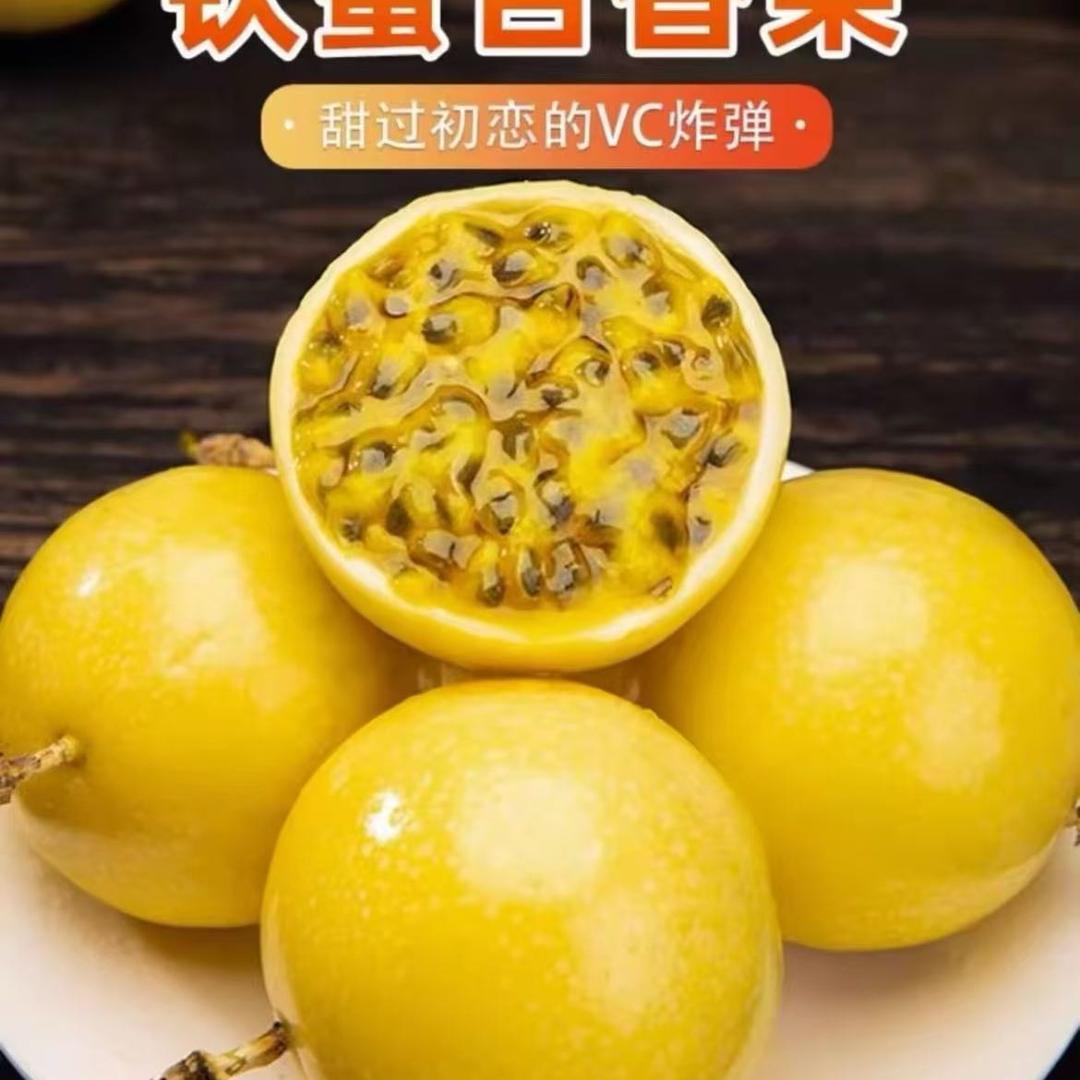 雨林甄选