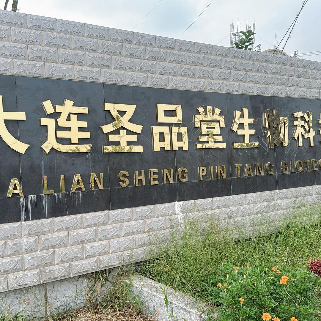 大连圣品堂海参加工厂