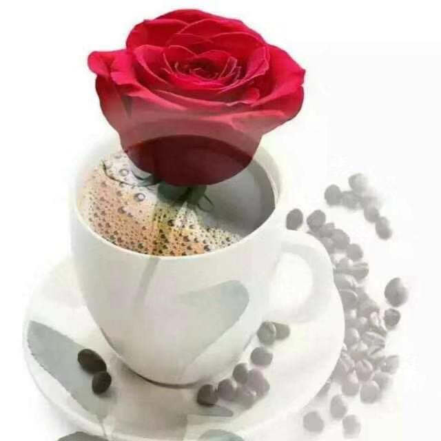 放纵°随遇而安@