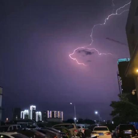 🌈 招财又进宝