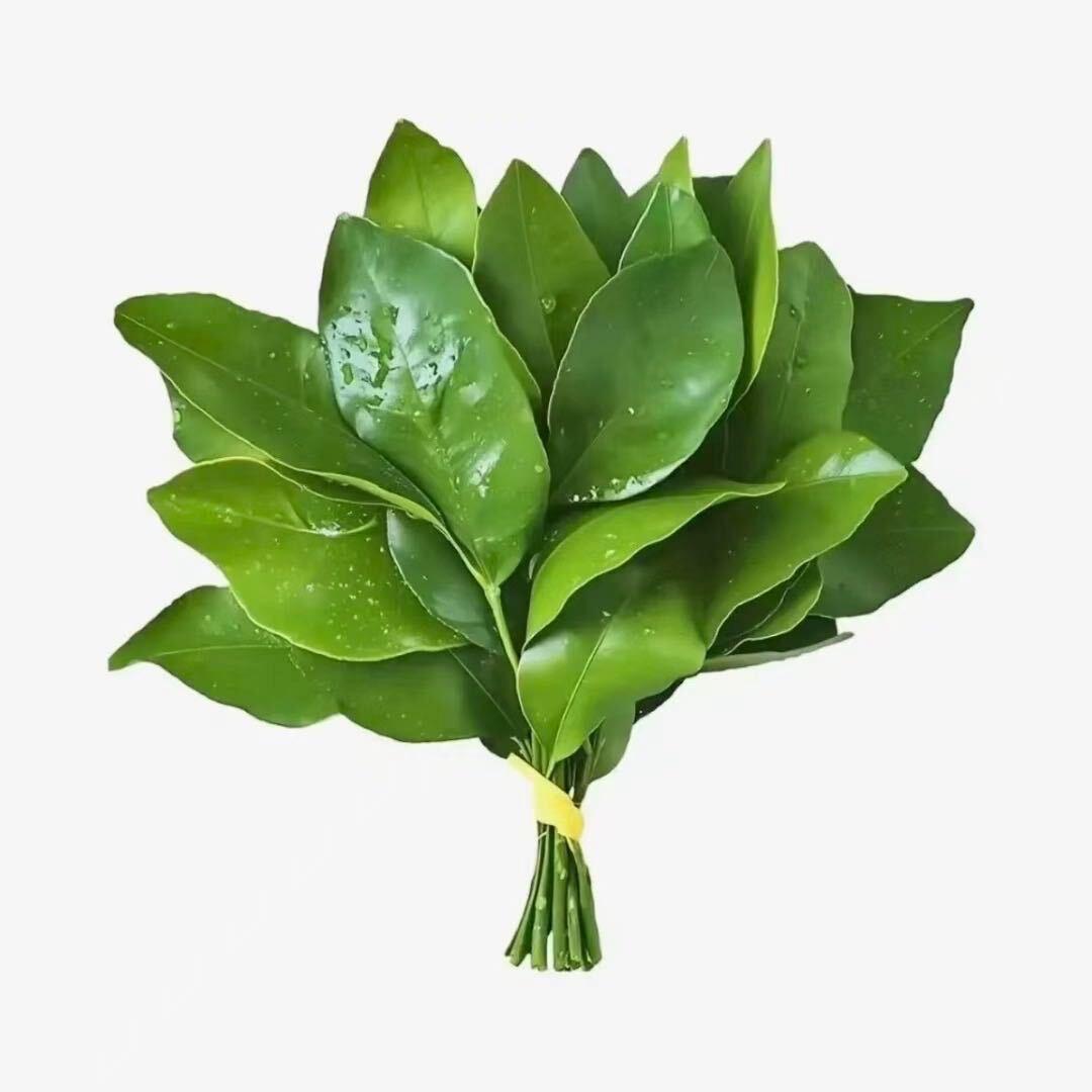 萬事顺意🍃