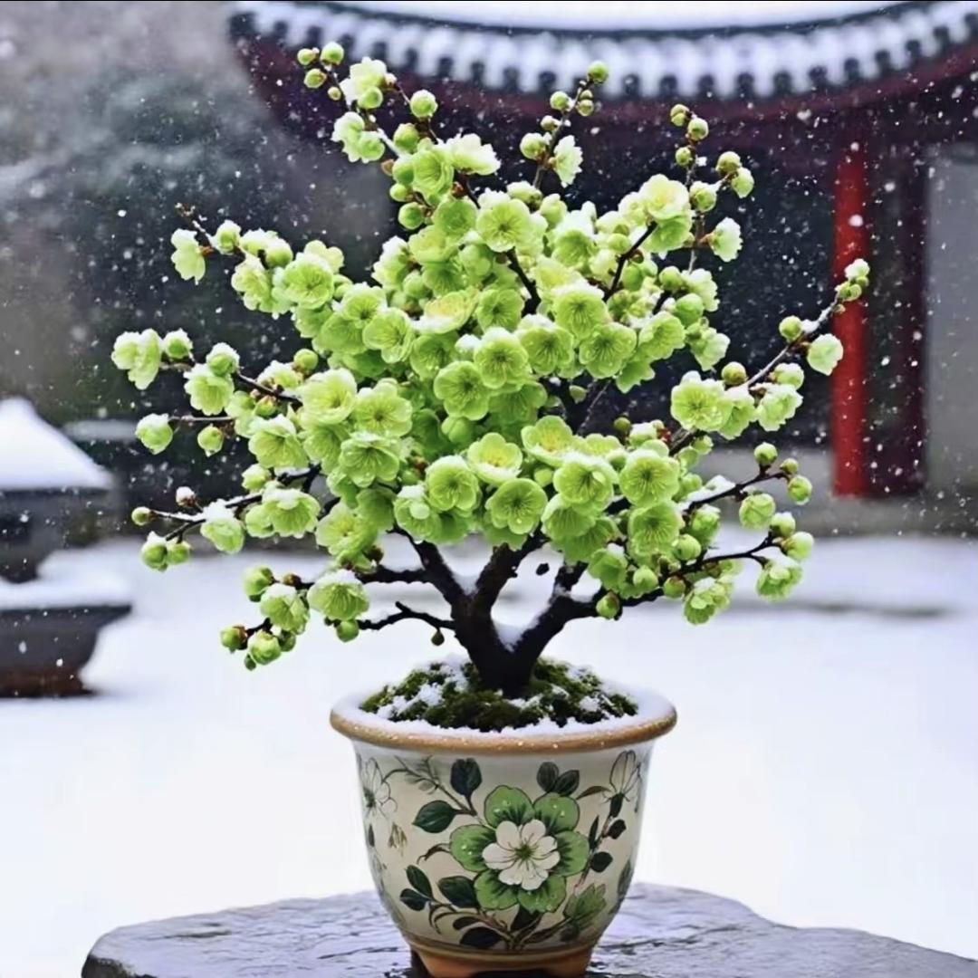 涵玖花海创意屋