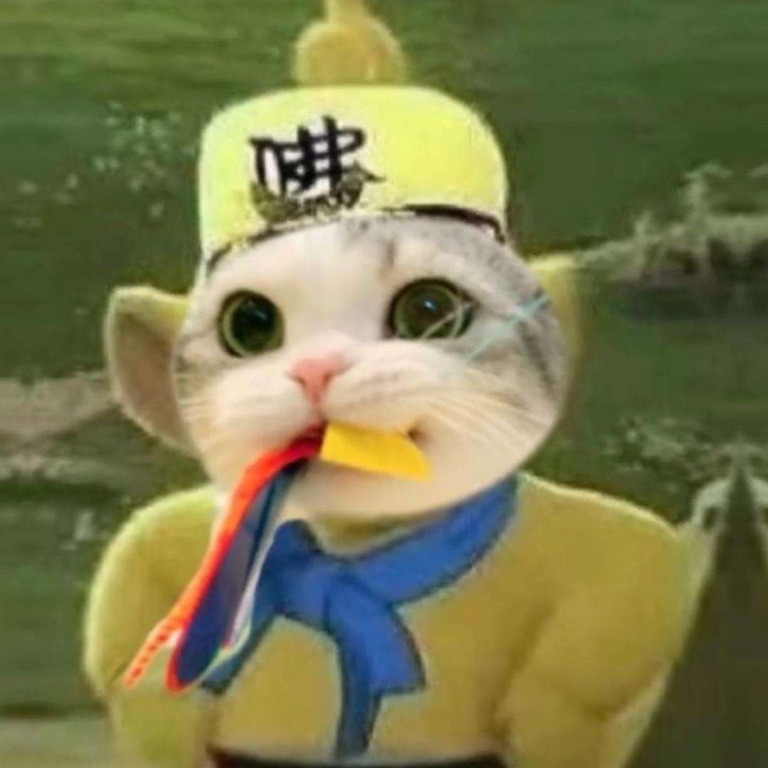 看到我请叫我去学习