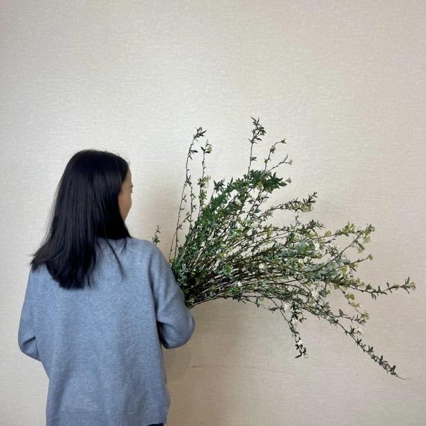 花田喜事lilufa    l