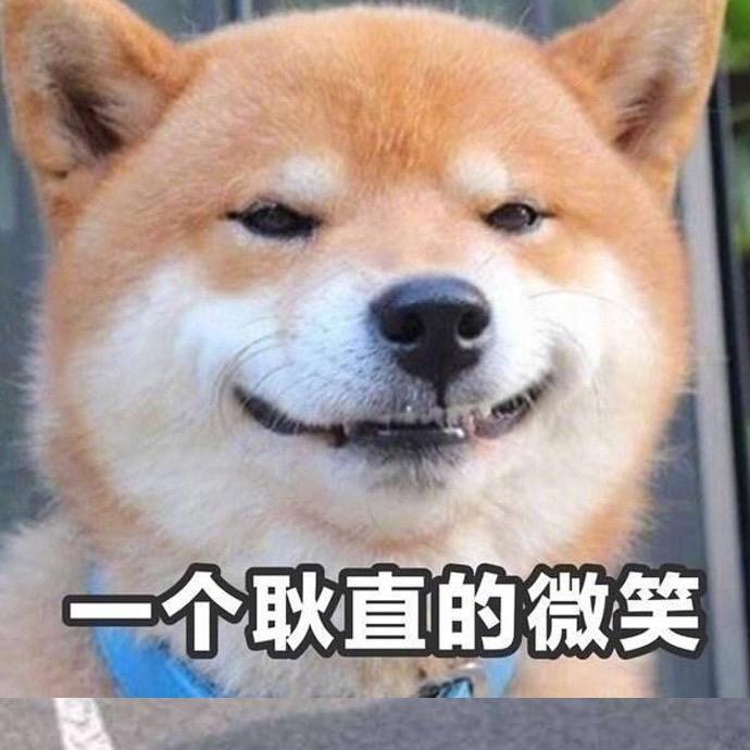 又菜又爱玩