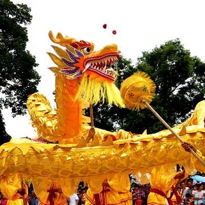 🐲上栗胜利龙队🐲琪琪🐲