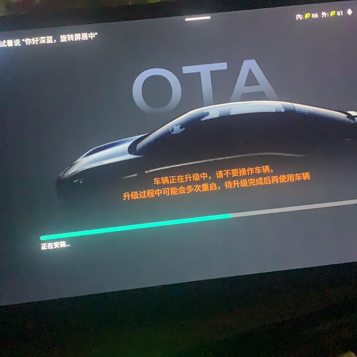 毛毛偷牛