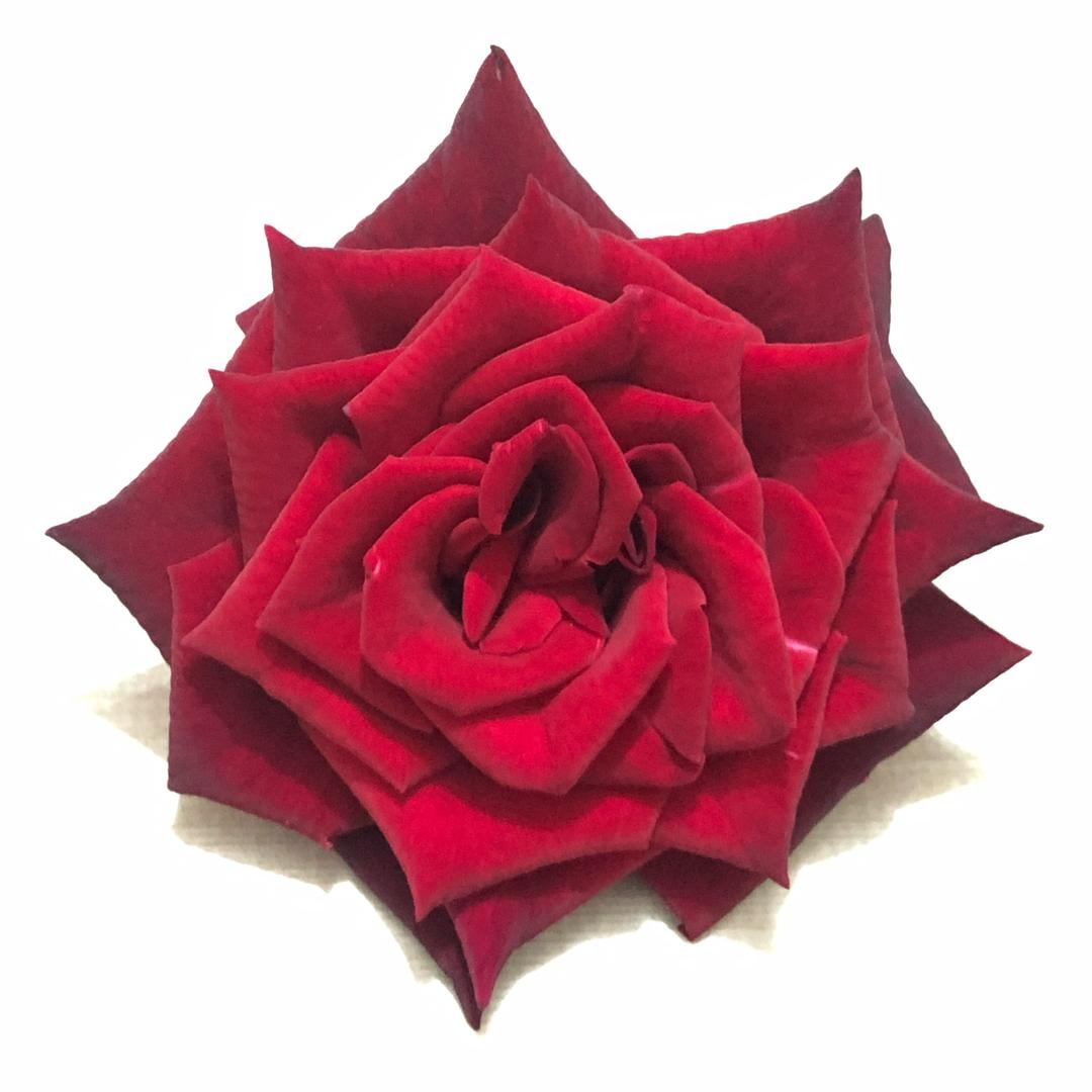 🌈🌈🌈 Mr：H·u۶↝ang