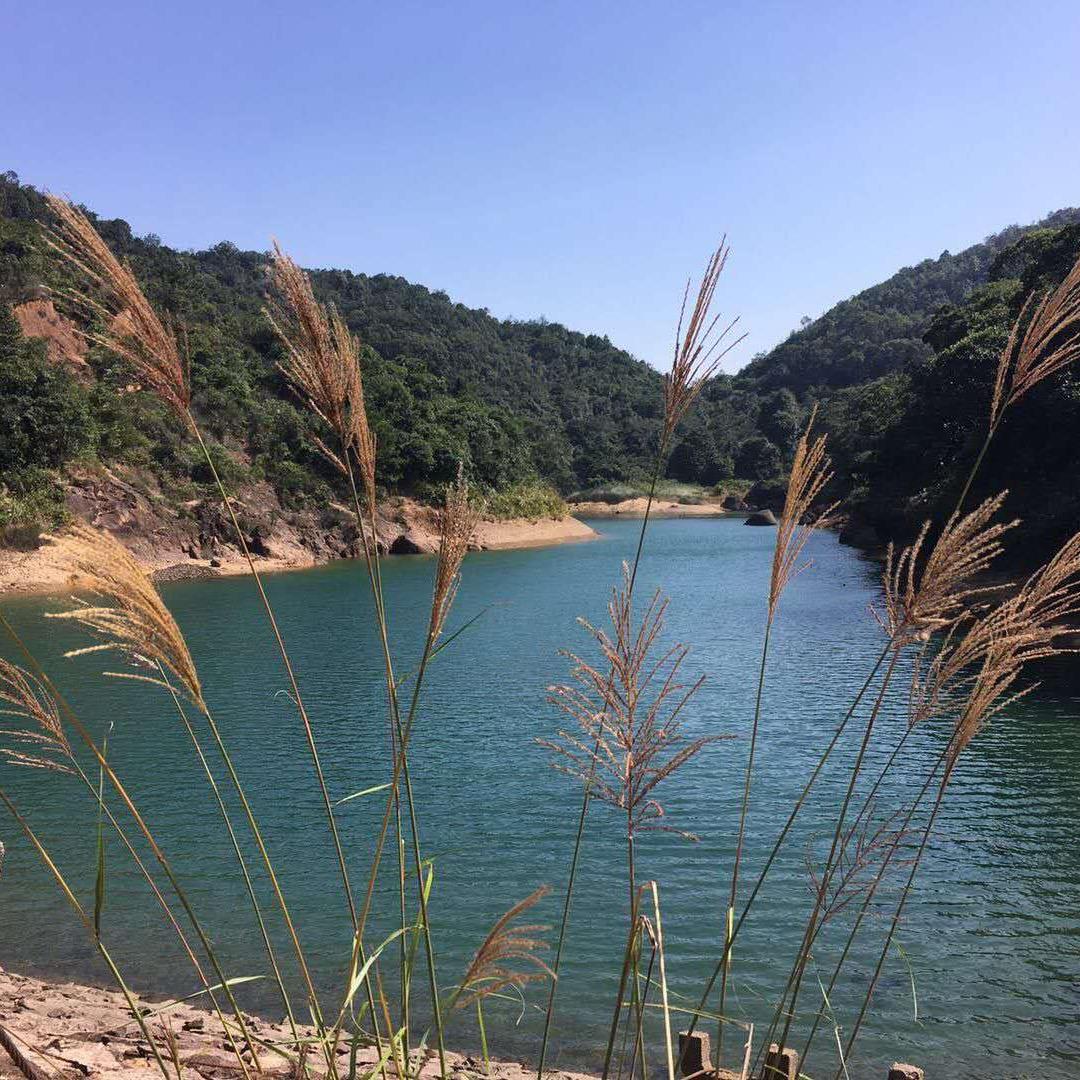 李小贤