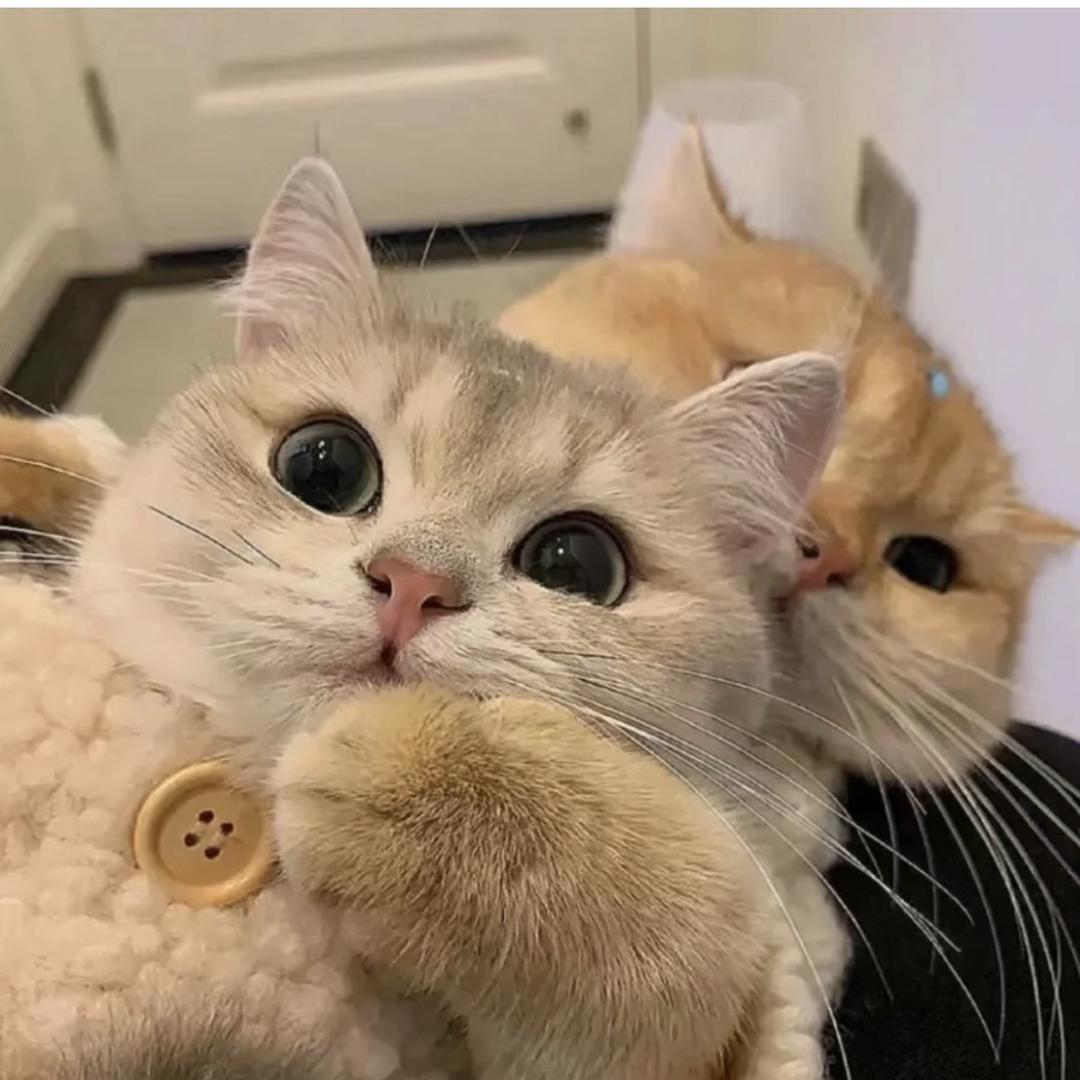 怎么不说话
