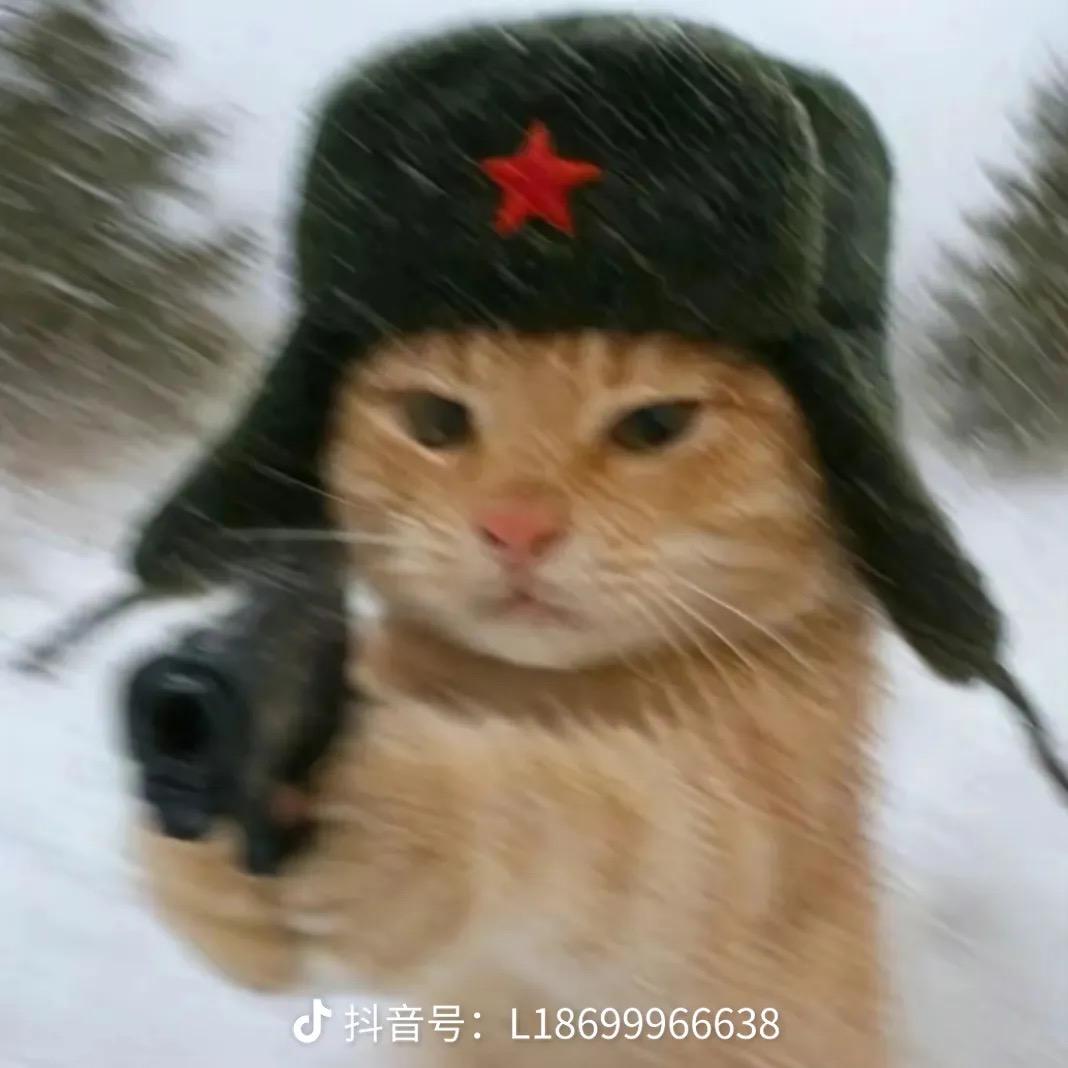 公子宇²³³³