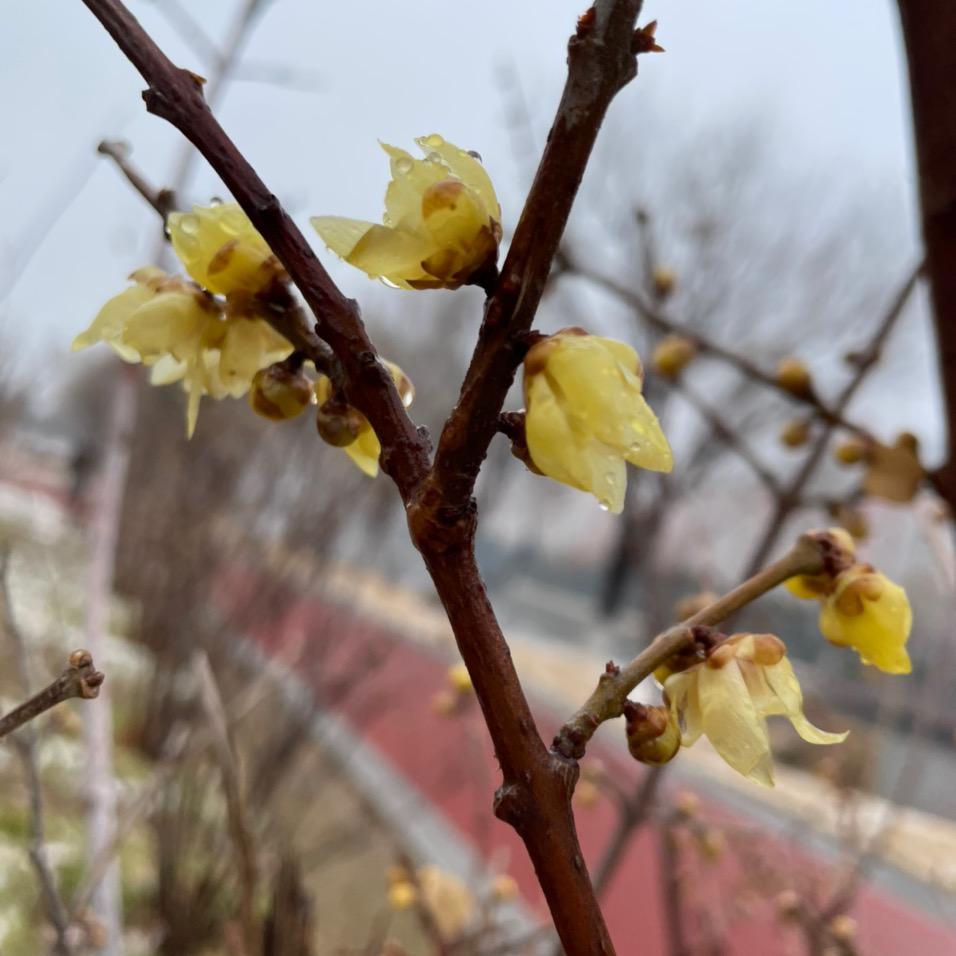 财福