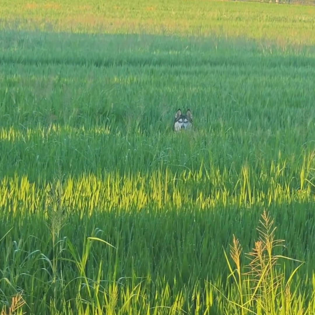 睡不醒，