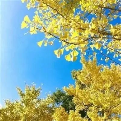 信念之光汇程商贸