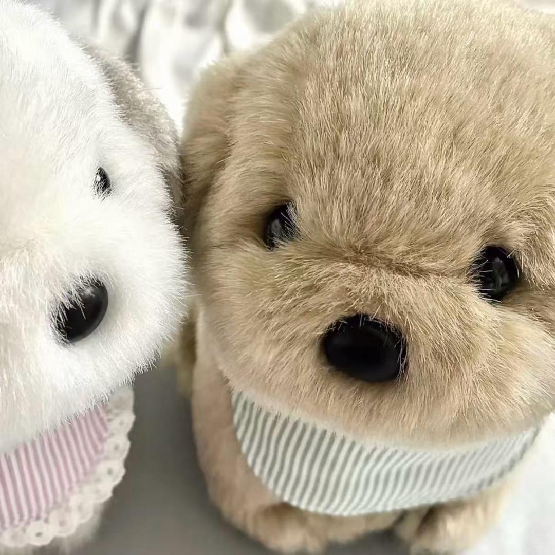 O(∩_∩)O