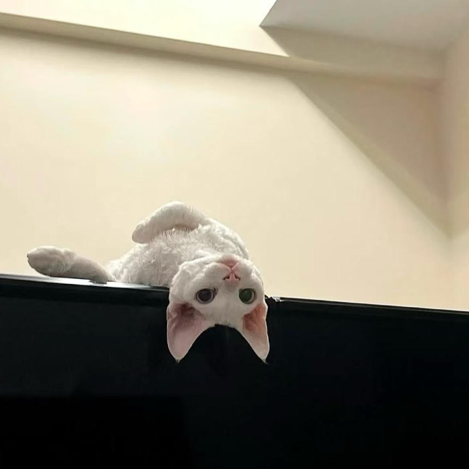 林大王