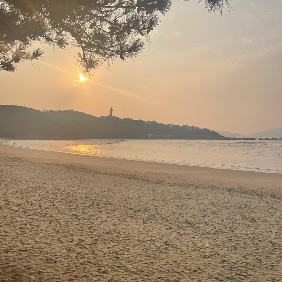 紫轩腾飞🏄🏻♂️