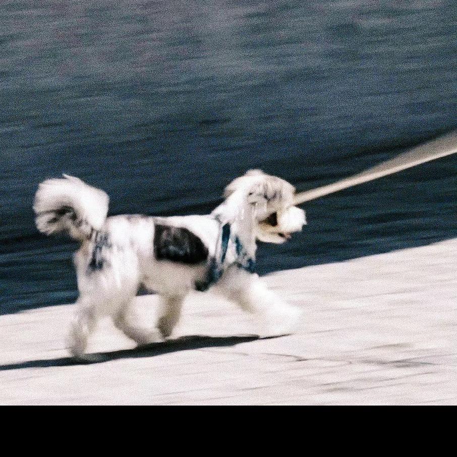 请不要念我的id名