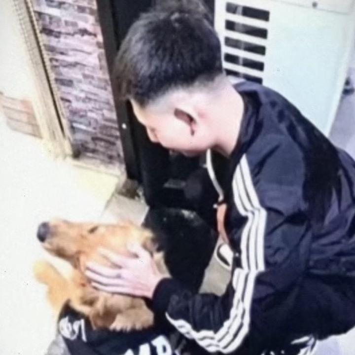 ㅤㅤㅤㅤㅤㅤㅤㅤㅤ