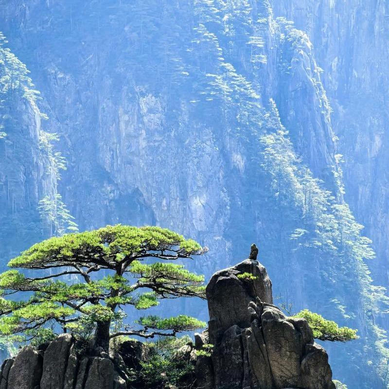执酒  渡凡尘