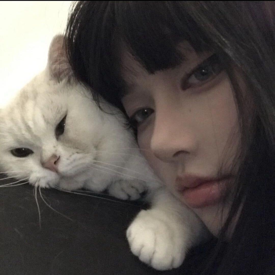 柯洁好物