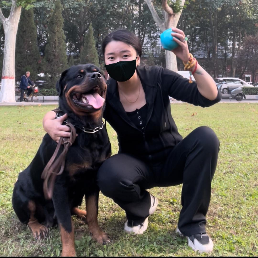 墩妈犬舍日常