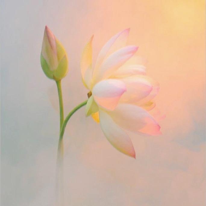 黑页