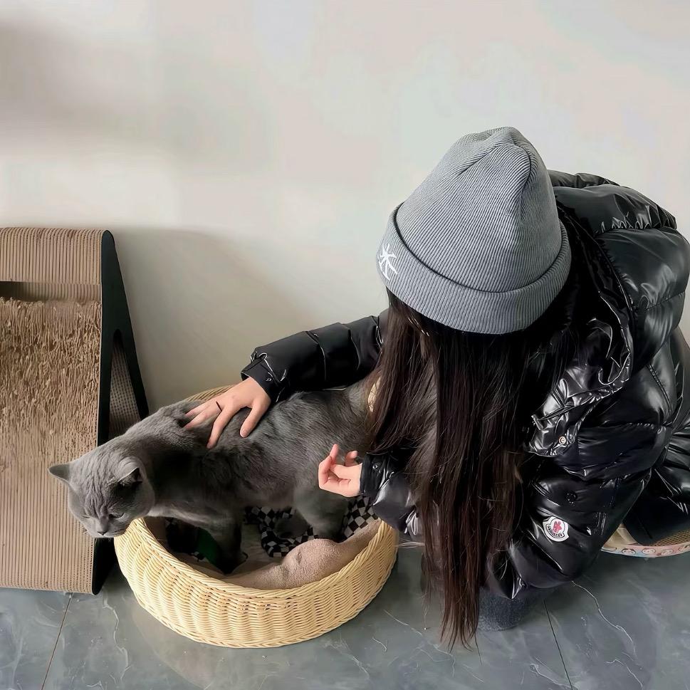 Aaaa导弹批发老板娘