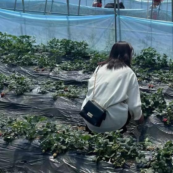 新娘跟妆～晓晓