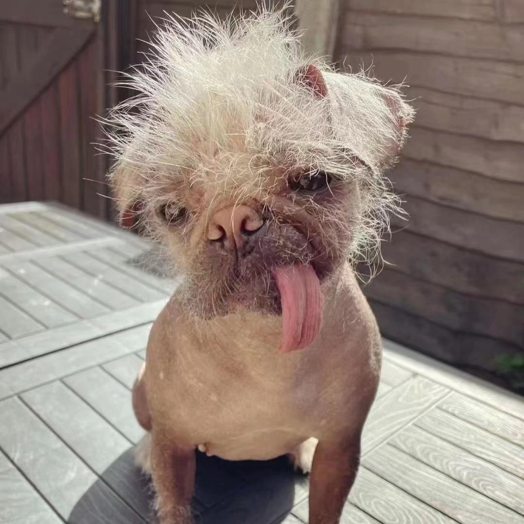 麻的又把我当煞比