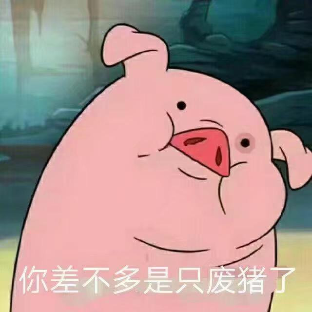 美丽🐷