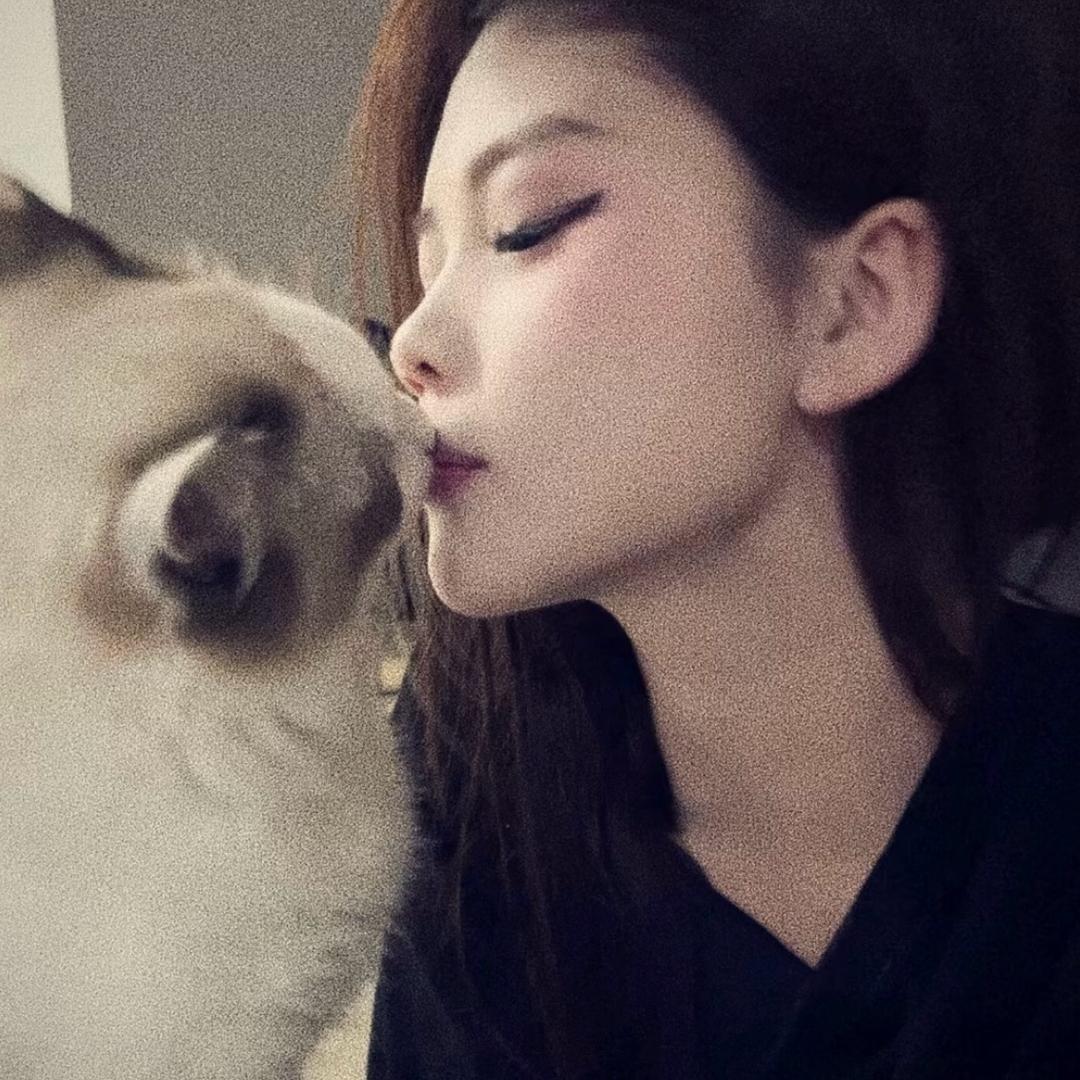 加菲猫ʸ