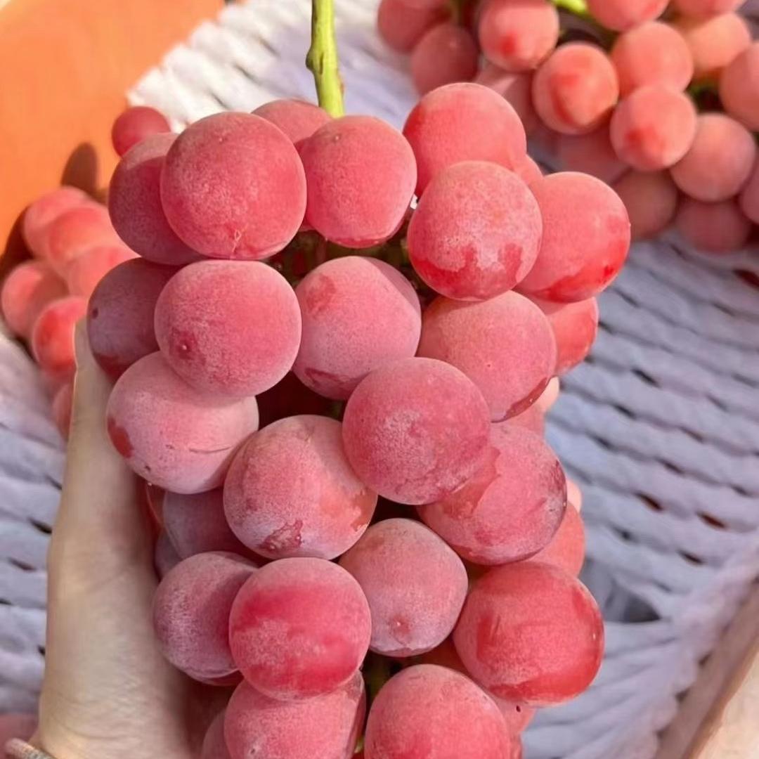 小白的水果店