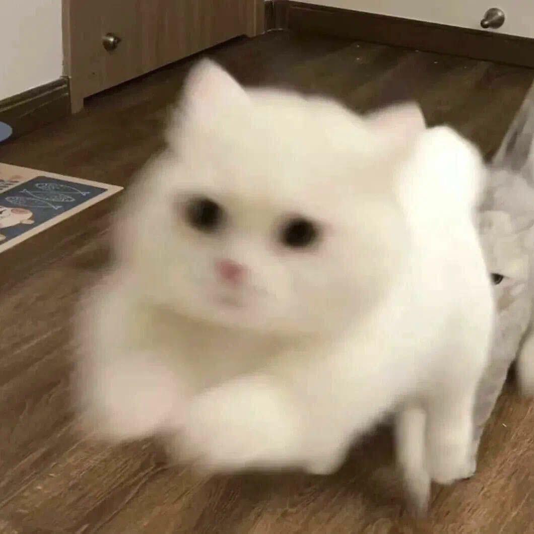 夙愿
