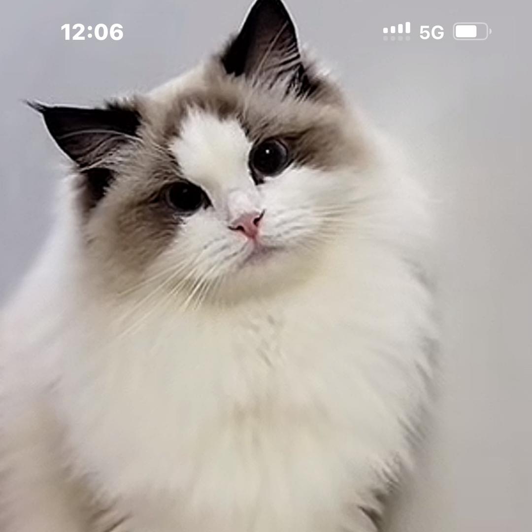 艾玛