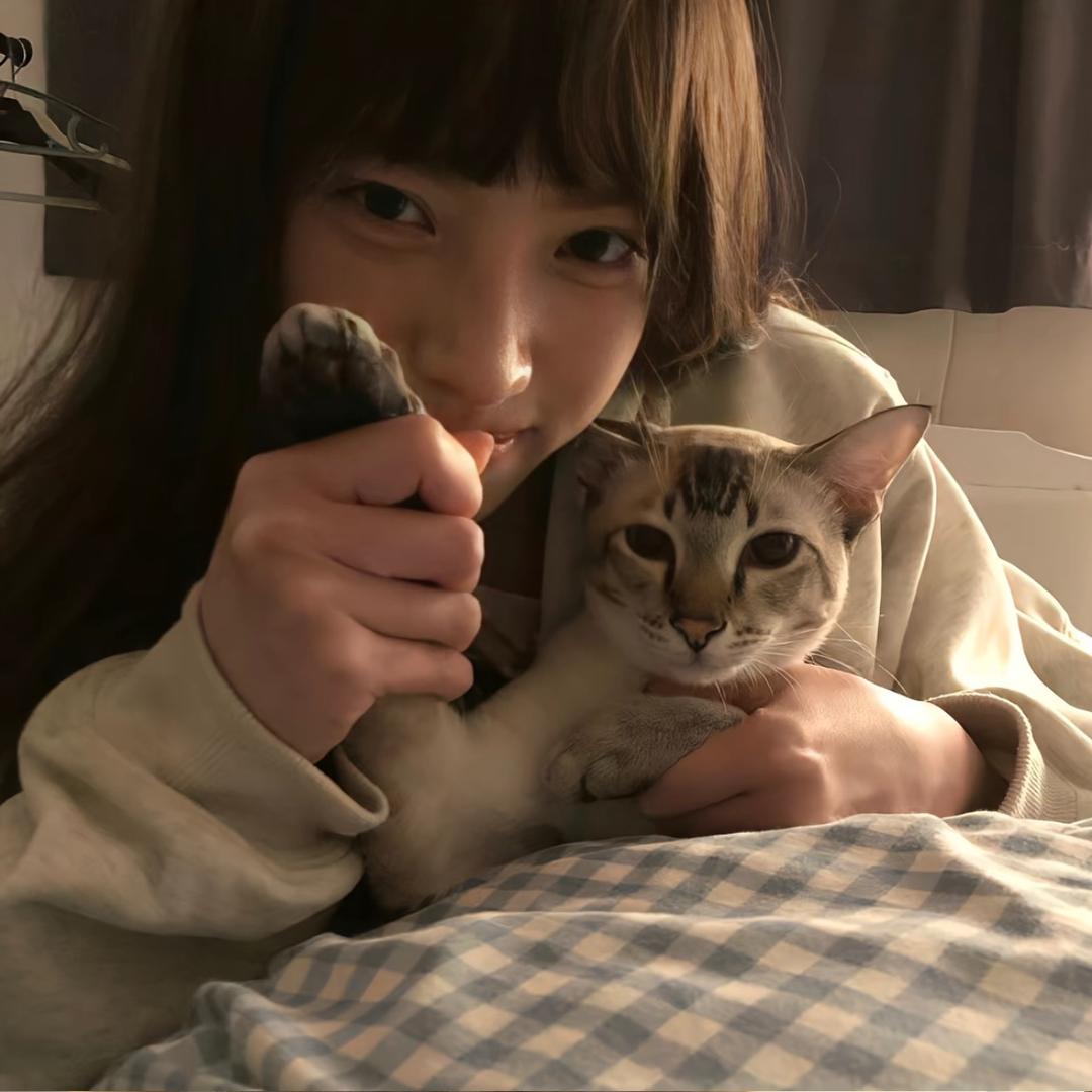 橘子树.