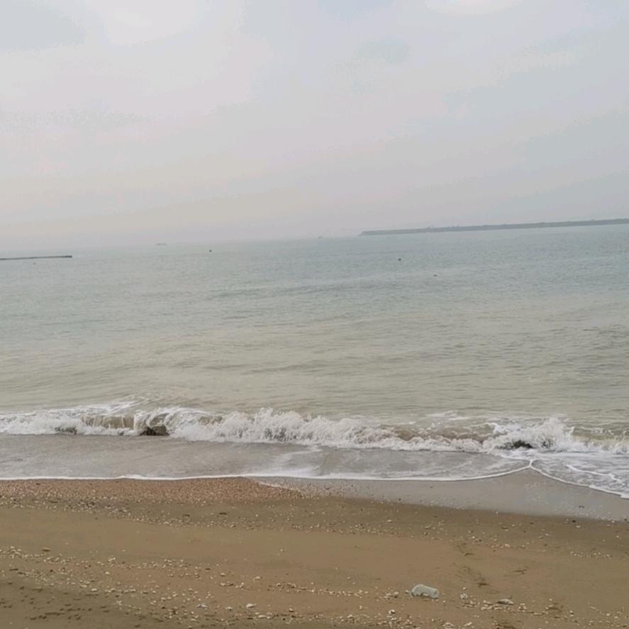 ㅤㅤ ㅤ︋ ㅤㅤ思念