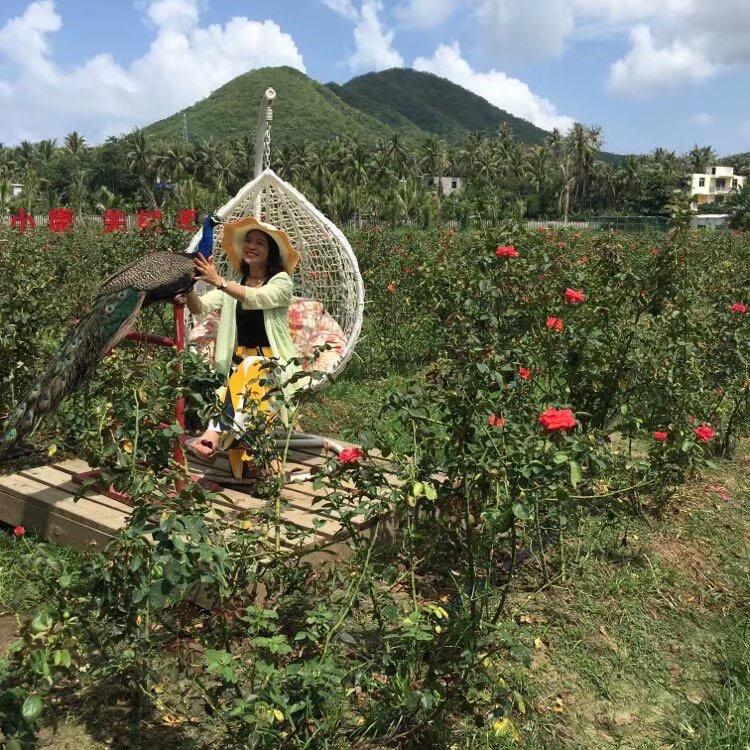 👣好运来🍁