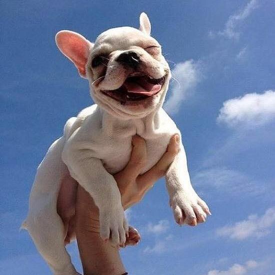 🌸smile💕夏小胖