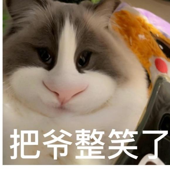土豆土豆土豆