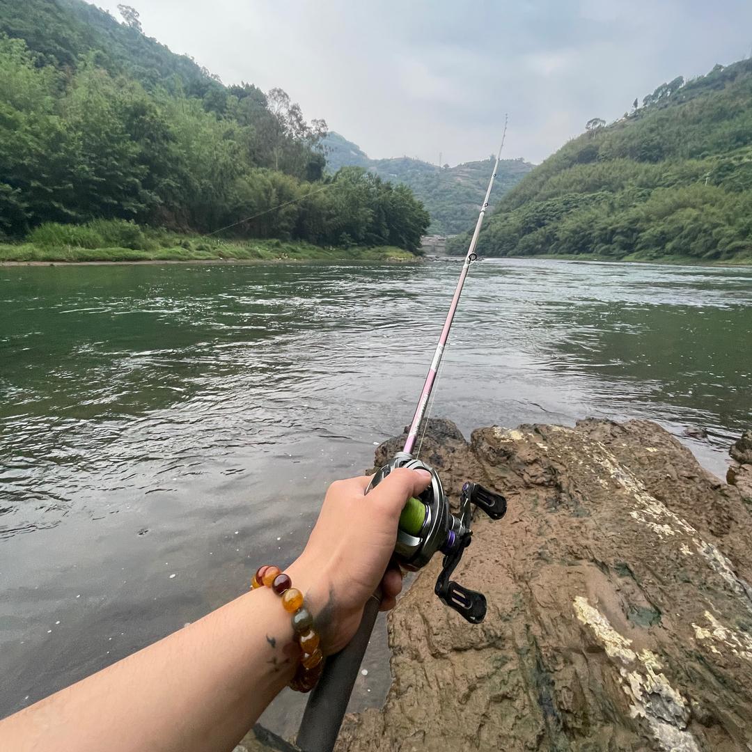 鳜鱼刺客 我翘鲤哇